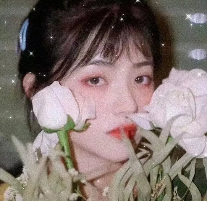 红杏惊魂