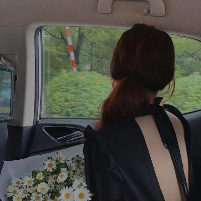 茶花村的幸福生活